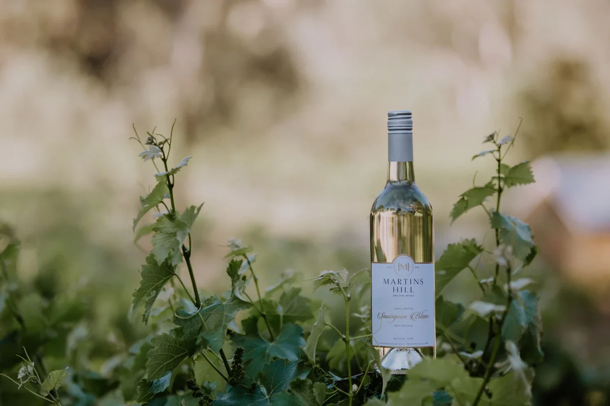 martins hill organic wine mudgee