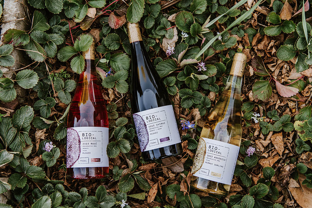 lowe organic winery mudgee