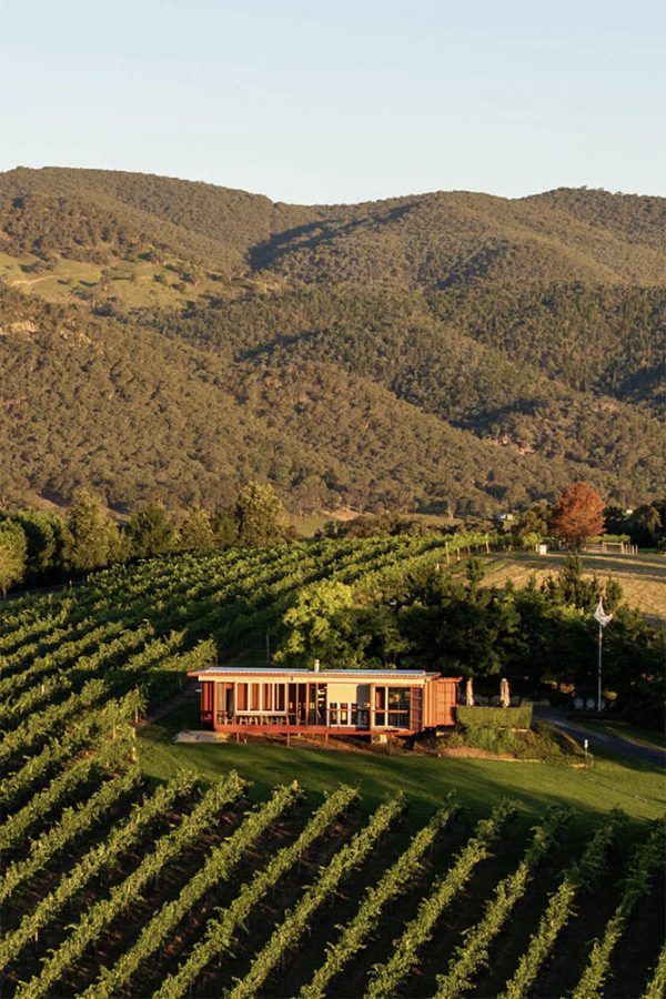 mudgee winery