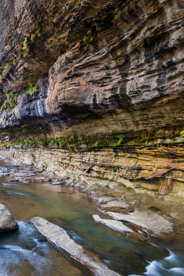 the drip gorge walking track mudgee