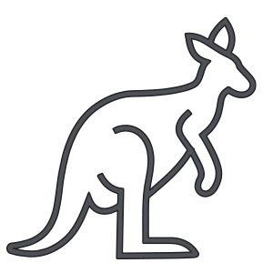 kangaroo spotting