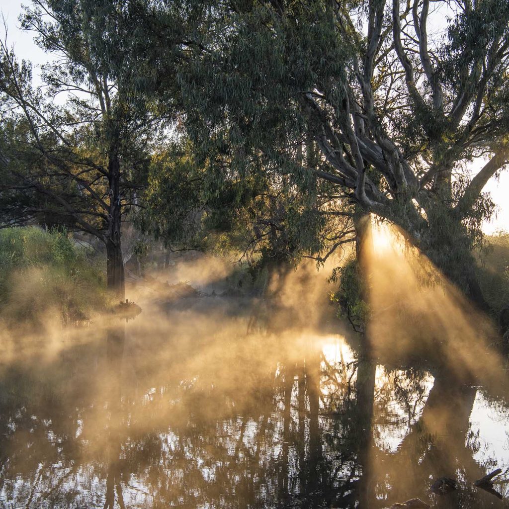 mudgee creek lawson